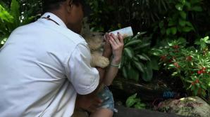 Kenzie meets all the wild animals she could imagine!