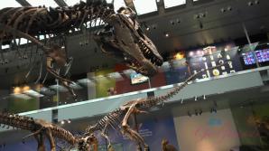 You take Paris the the Natural History Museum